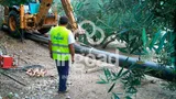 Modernización de las acequias La Venta y Las Viñas: fotografía 4 de 5.