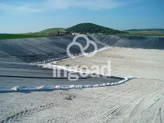 Transformación a riego por goteo en la finca Ranchiles: fotografía 1 de 12.