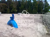 Transformación a riego por goteo en la finca Ranchiles: fotografía 12 de 12.