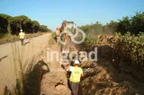Modernización de los subsectores I-2 e I-3 de Almonte-Marismas: fotografía 2 de 2.